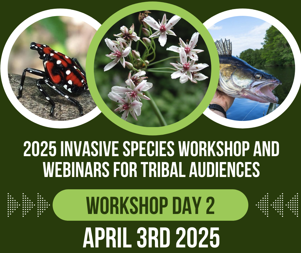 2025 Workshop Day 2 Event Header